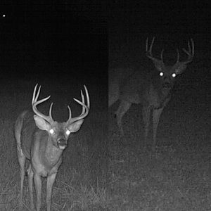 Meet your Posher, Clayton